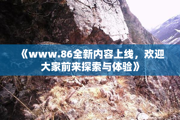 《www.86全新内容上线，欢迎大家前来探索与体验》