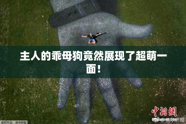 主人的乖母狗竟然展现了超萌一面！