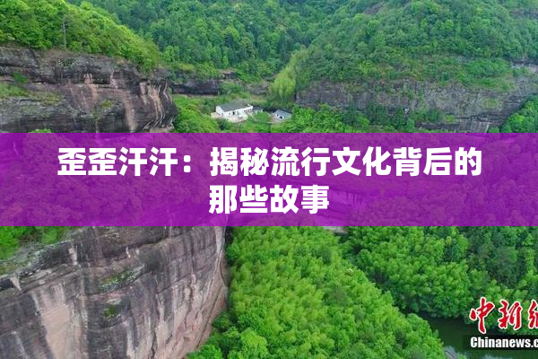 歪歪汗汗：揭秘流行文化背后的那些故事