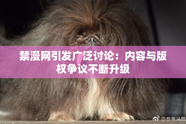 禁漫网引发广泛讨论：内容与版权争议不断升级