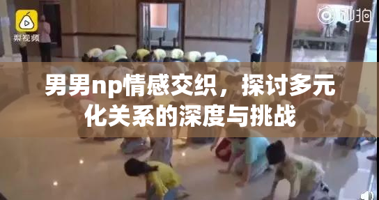 男男np情感交织，探讨多元化关系的深度与挑战