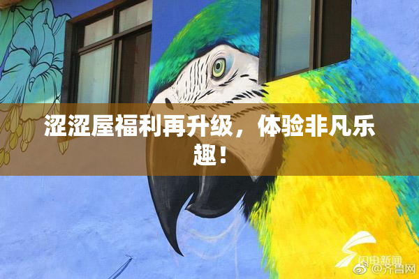 涩涩屋福利再升级，体验非凡乐趣！