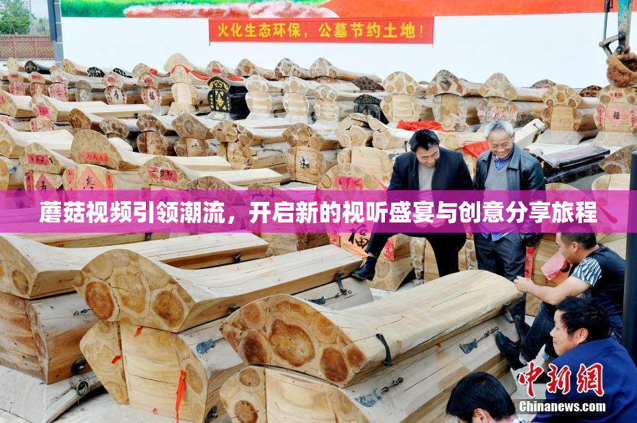 蘑菇视频引领潮流，开启新的视听盛宴与创意分享旅程