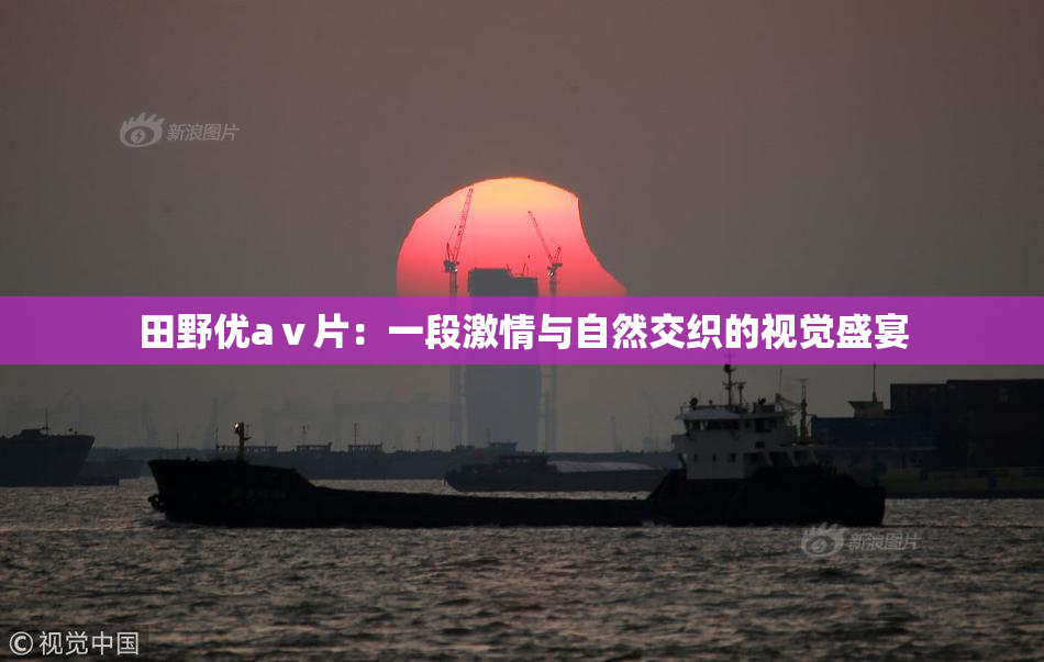 田野优aⅴ片：一段激情与自然交织的视觉盛宴