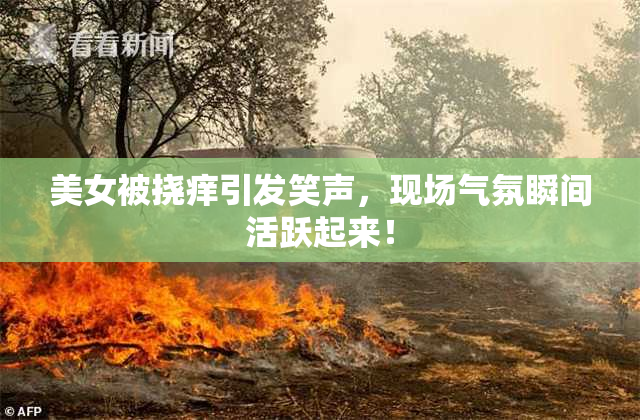 美女被挠痒引发笑声，现场气氛瞬间活跃起来！