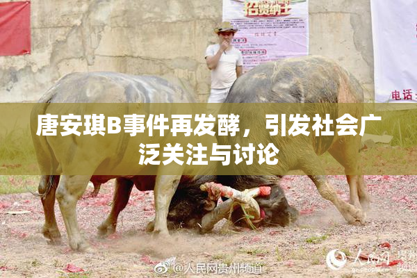 唐安琪B事件再发酵，引发社会广泛关注与讨论