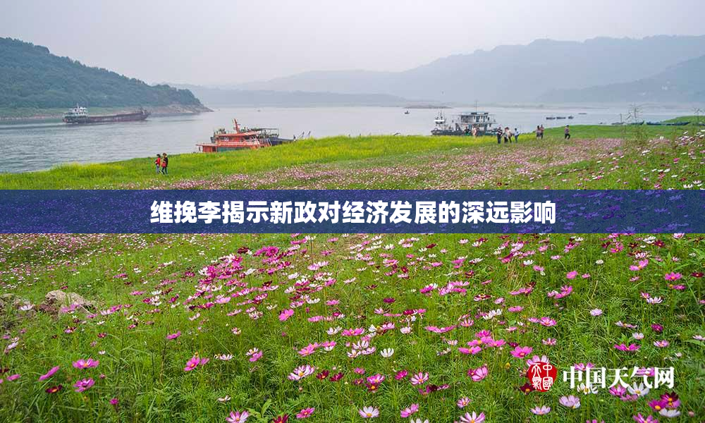 维挽李揭示新政对经济发展的深远影响
