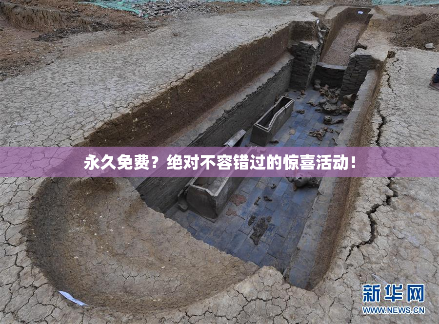 永久免费？绝对不容错过的惊喜活动！