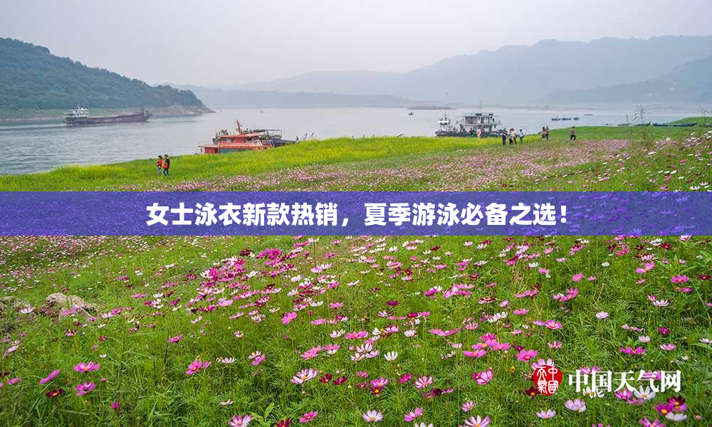 女士泳衣新款热销，夏季游泳必备之选！
