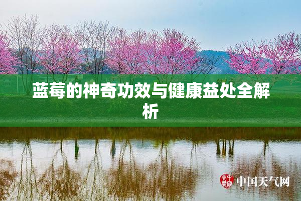 蓝莓的神奇功效与健康益处全解析