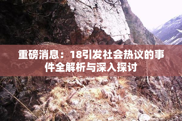 重磅消息：18引发社会热议的事件全解析与深入探讨