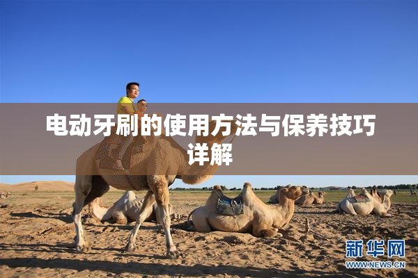 电动牙刷的使用方法与保养技巧详解