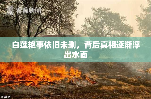 白莲艳事依旧未删，背后真相逐渐浮出水面