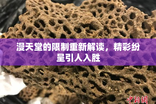 漫天堂的限制重新解读，精彩纷呈引人入胜