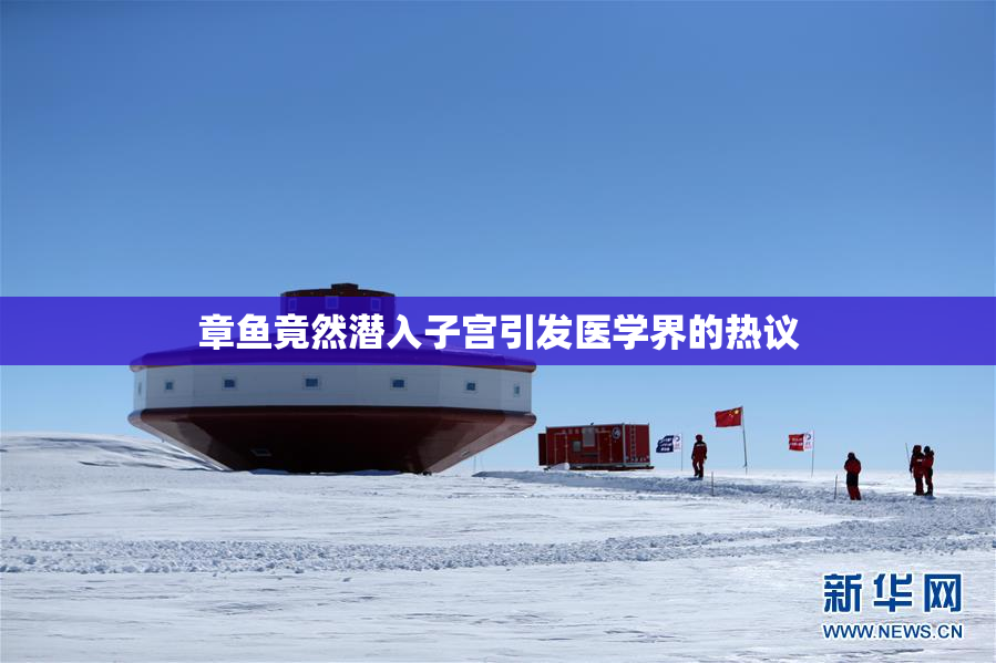 章鱼竟然潜入子宫引发医学界的热议
