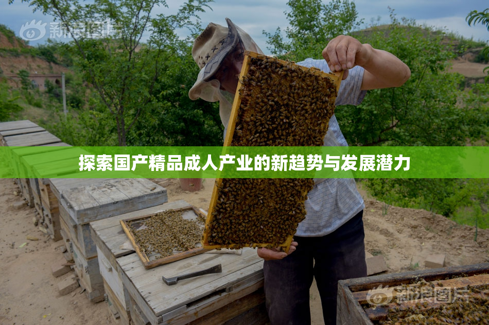 探索国产精品成人产业的新趋势与发展潜力