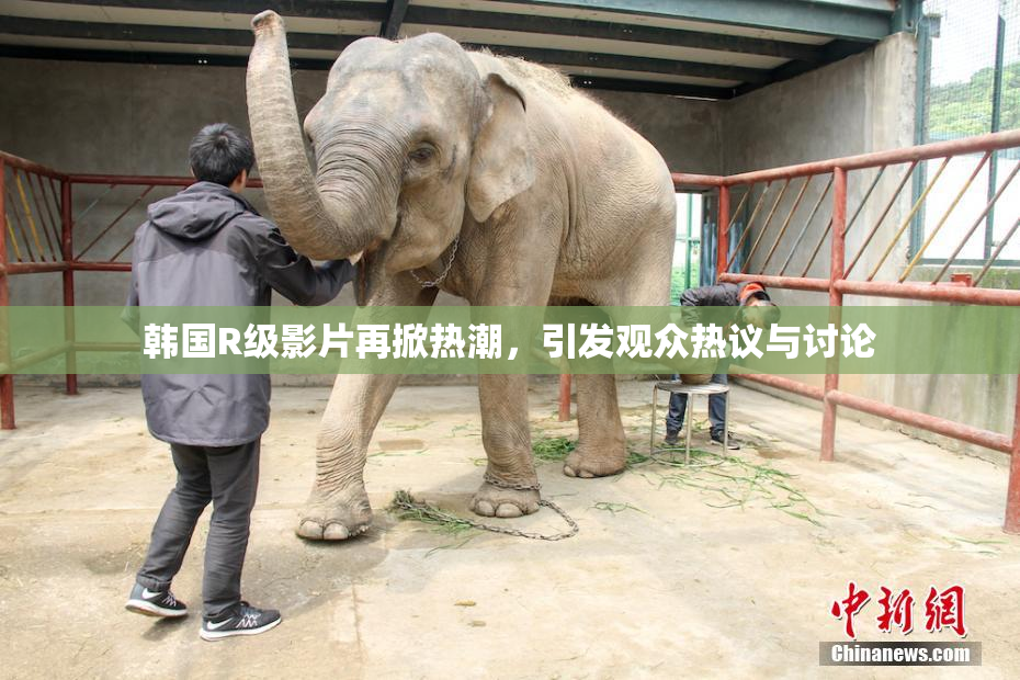 韩国R级影片再掀热潮，引发观众热议与讨论