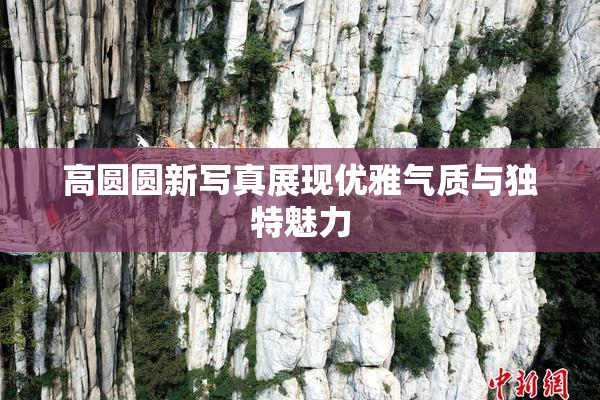 高圆圆新写真展现优雅气质与独特魅力