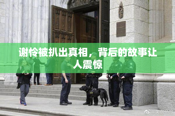 谢怜被扒出真相，背后的故事让人震惊