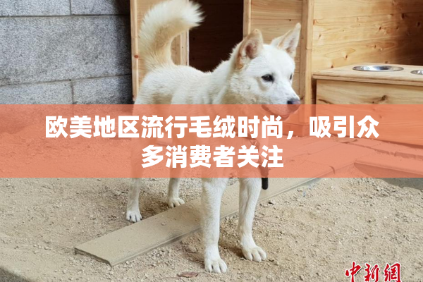 欧美地区流行毛绒时尚，吸引众多消费者关注