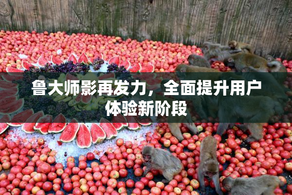 鲁大师影再发力，全面提升用户体验新阶段