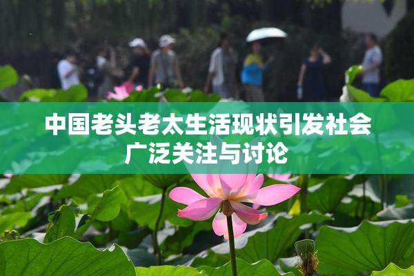 中国老头老太生活现状引发社会广泛关注与讨论
