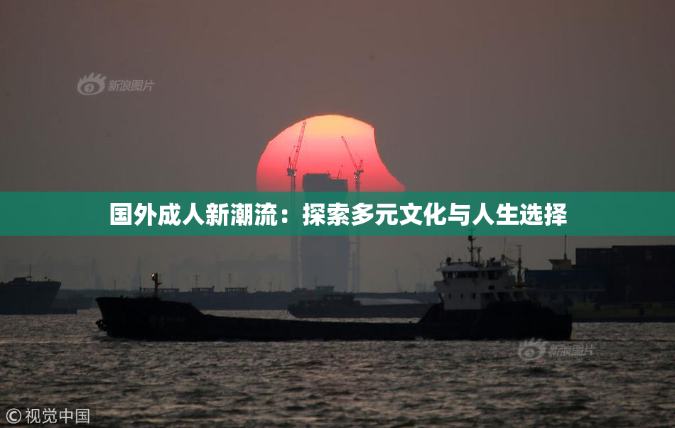 国外成人新潮流：探索多元文化与人生选择