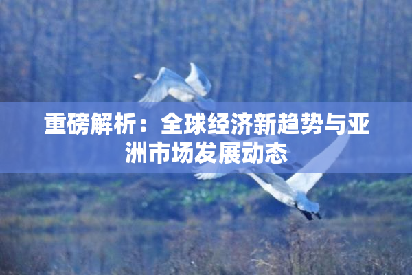 重磅解析：全球经济新趋势与亚洲市场发展动态