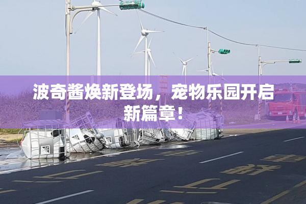 波奇酱焕新登场，宠物乐园开启新篇章！