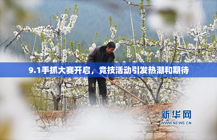 9.1手抓大赛开启，竞技活动引发热潮和期待