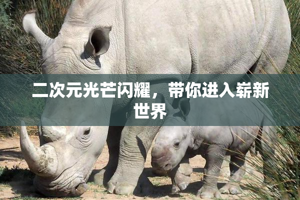 二次元光芒闪耀，带你进入崭新世界