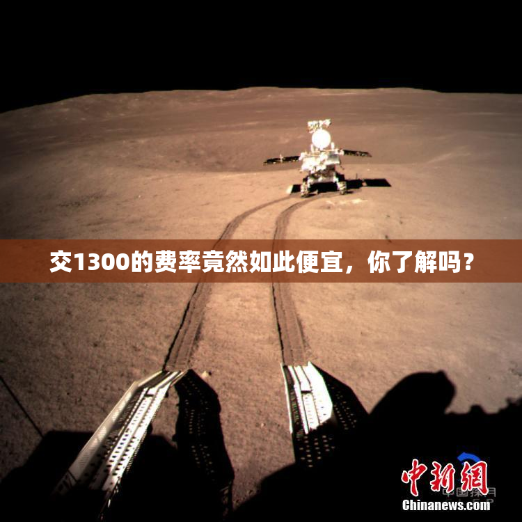 交1300的费率竟然如此便宜，你了解吗？