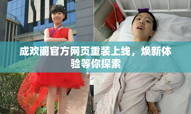 成欢阁官方网页重装上线，焕新体验等你探索