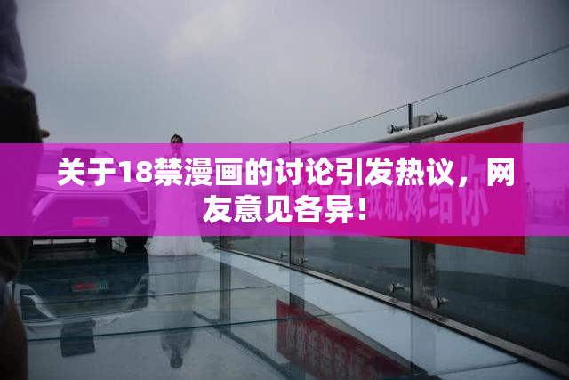 关于18禁漫画的讨论引发热议，网友意见各异！