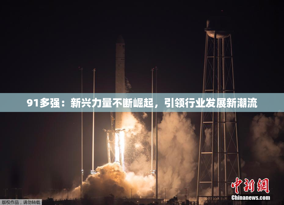 91多强：新兴力量不断崛起，引领行业发展新潮流
