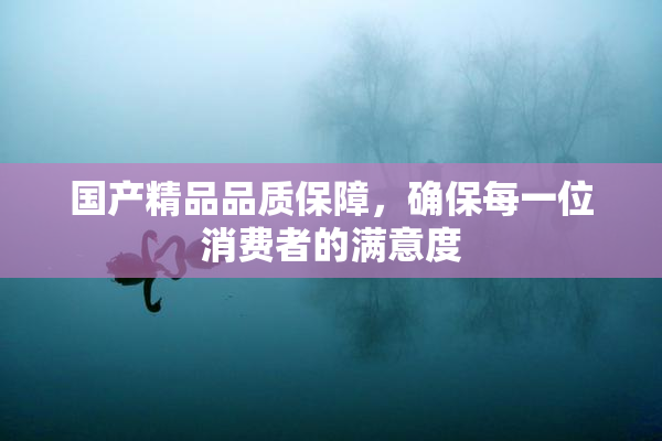 国产精品品质保障，确保每一位消费者的满意度