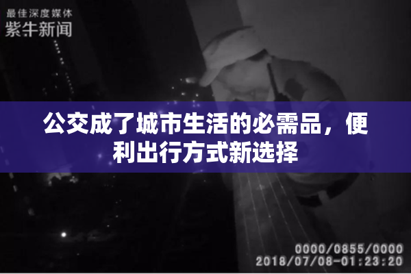 公交成了城市生活的必需品，便利出行方式新选择
