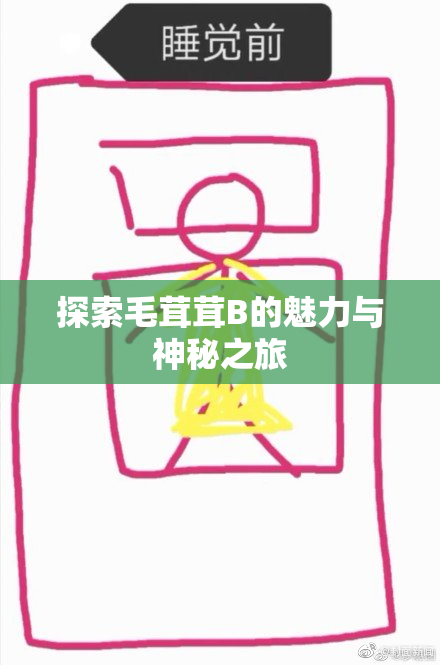 探索毛茸茸B的魅力与神秘之旅