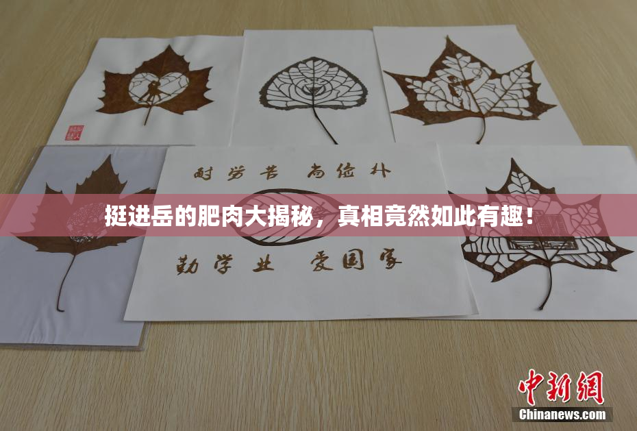 挺进岳的肥肉大揭秘，真相竟然如此有趣！