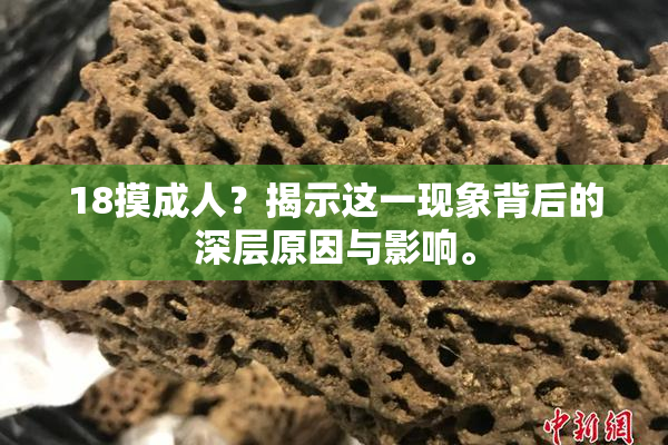 18摸成人？揭示这一现象背后的深层原因与影响。