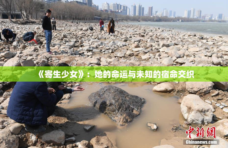 《寄生少女》：她的命运与未知的宿命交织