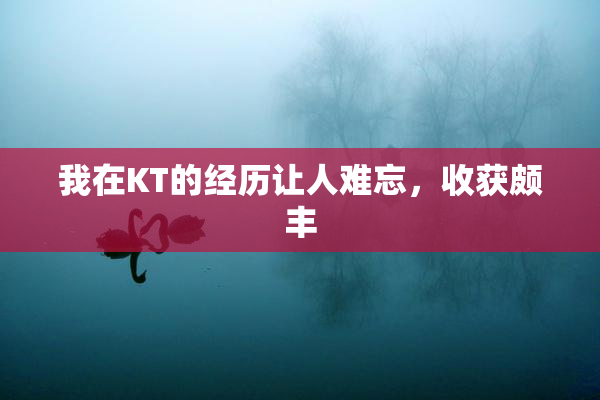 我在KT的经历让人难忘，收获颇丰