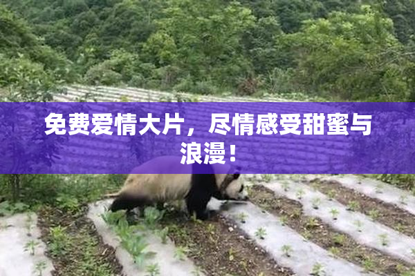 免费爱情大片，尽情感受甜蜜与浪漫！