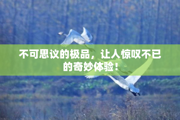 不可思议的极品，让人惊叹不已的奇妙体验！