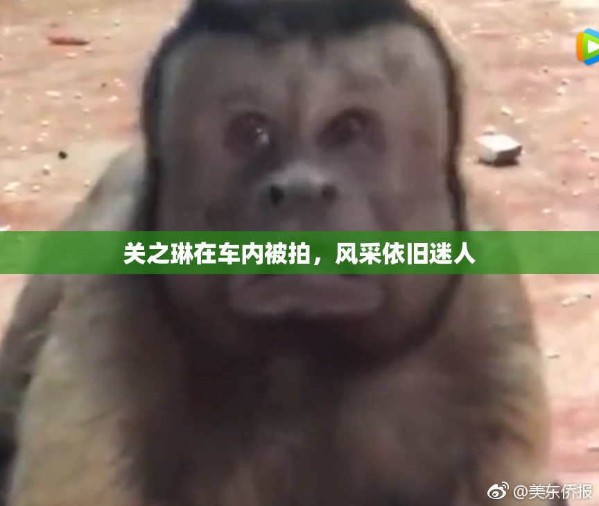 关之琳在车内被拍，风采依旧迷人