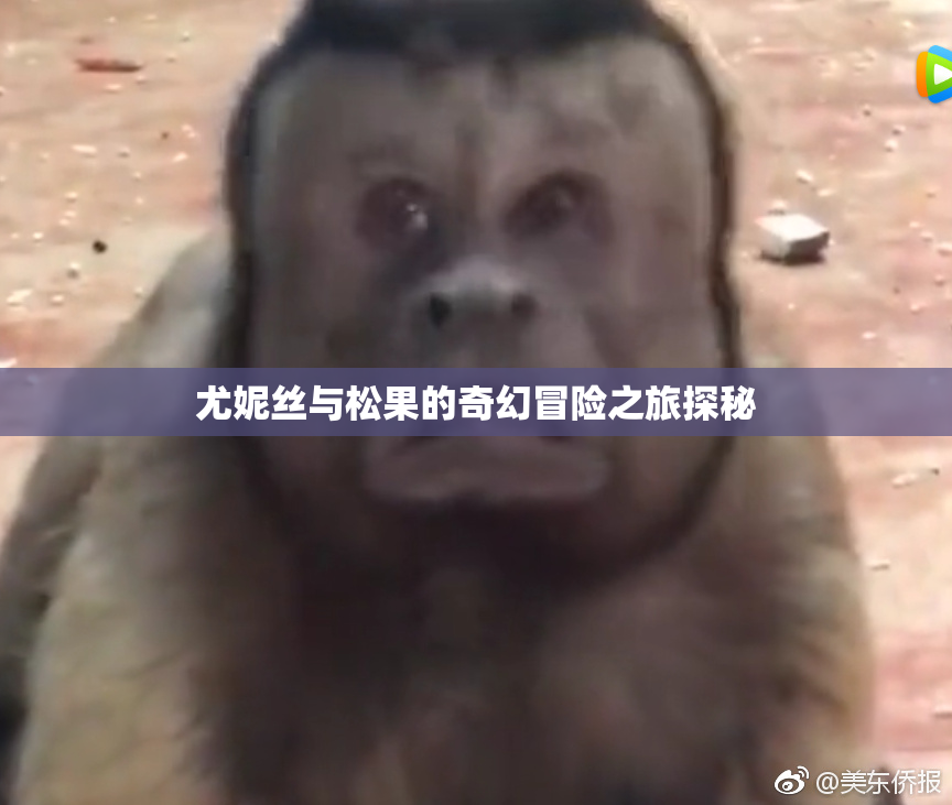 尤妮丝与松果的奇幻冒险之旅探秘