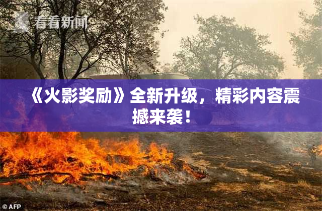 《火影奖励》全新升级，精彩内容震撼来袭！