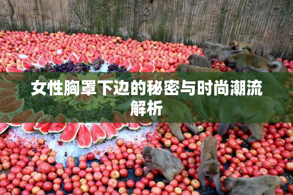 女性胸罩下边的秘密与时尚潮流解析
