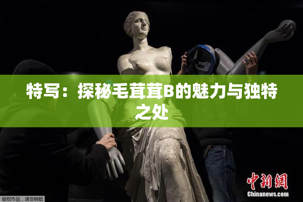 特写：探秘毛茸茸B的魅力与独特之处