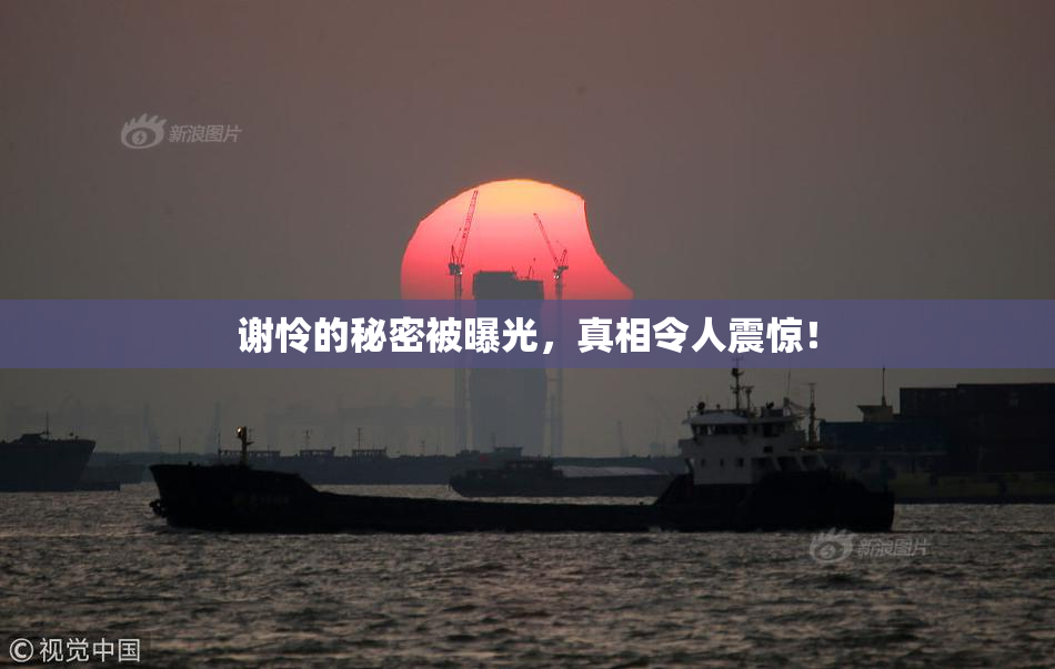 谢怜的秘密被曝光，真相令人震惊！